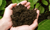 5Way Compost