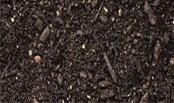 Garden Mix