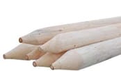 lodgepole_tree_stakes