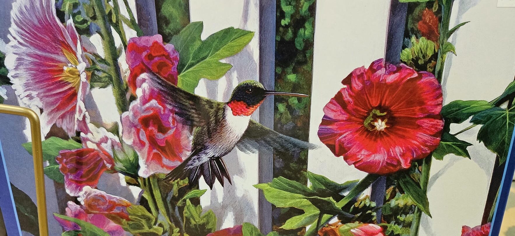 Hummingbird and Trumpetvine Puzzle