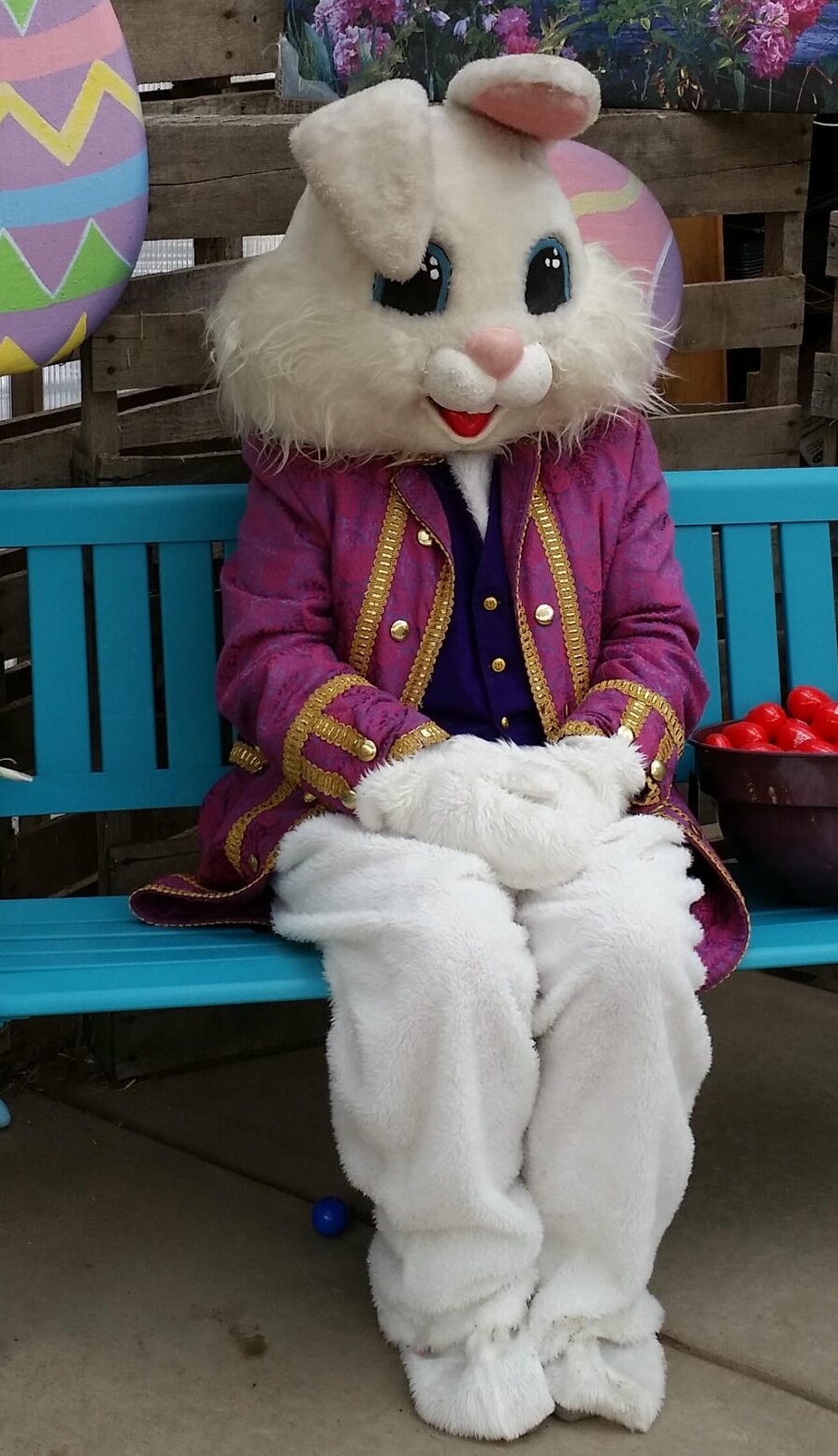 Easter Bunny on bench for pictures