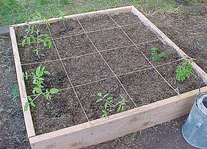 Square Foot Garden