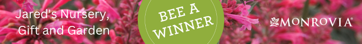 Bee-a-Winner-banner