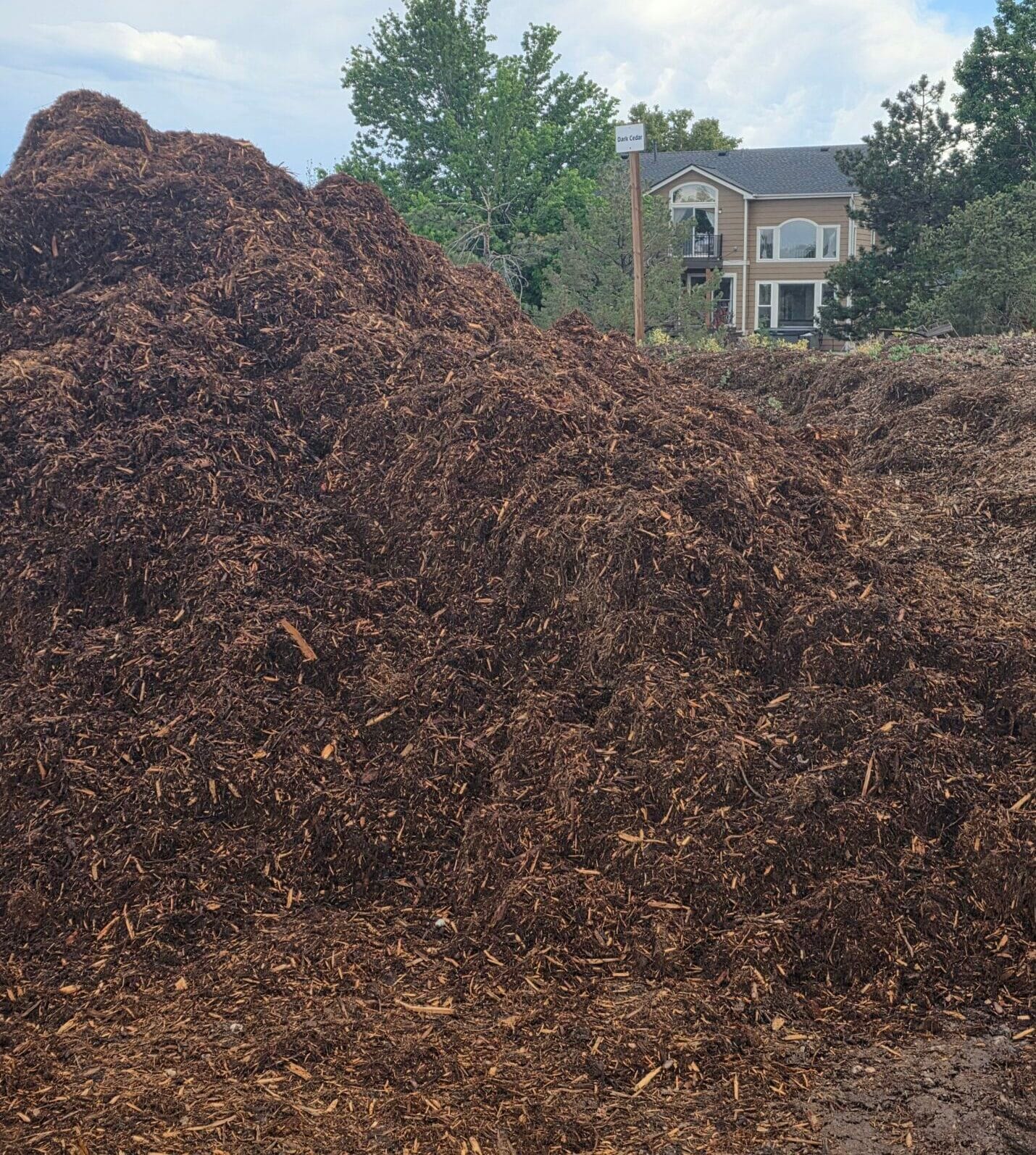 Dard_Cedar_Mulch Dark Cedar also known as Gorilla Hair Mulch