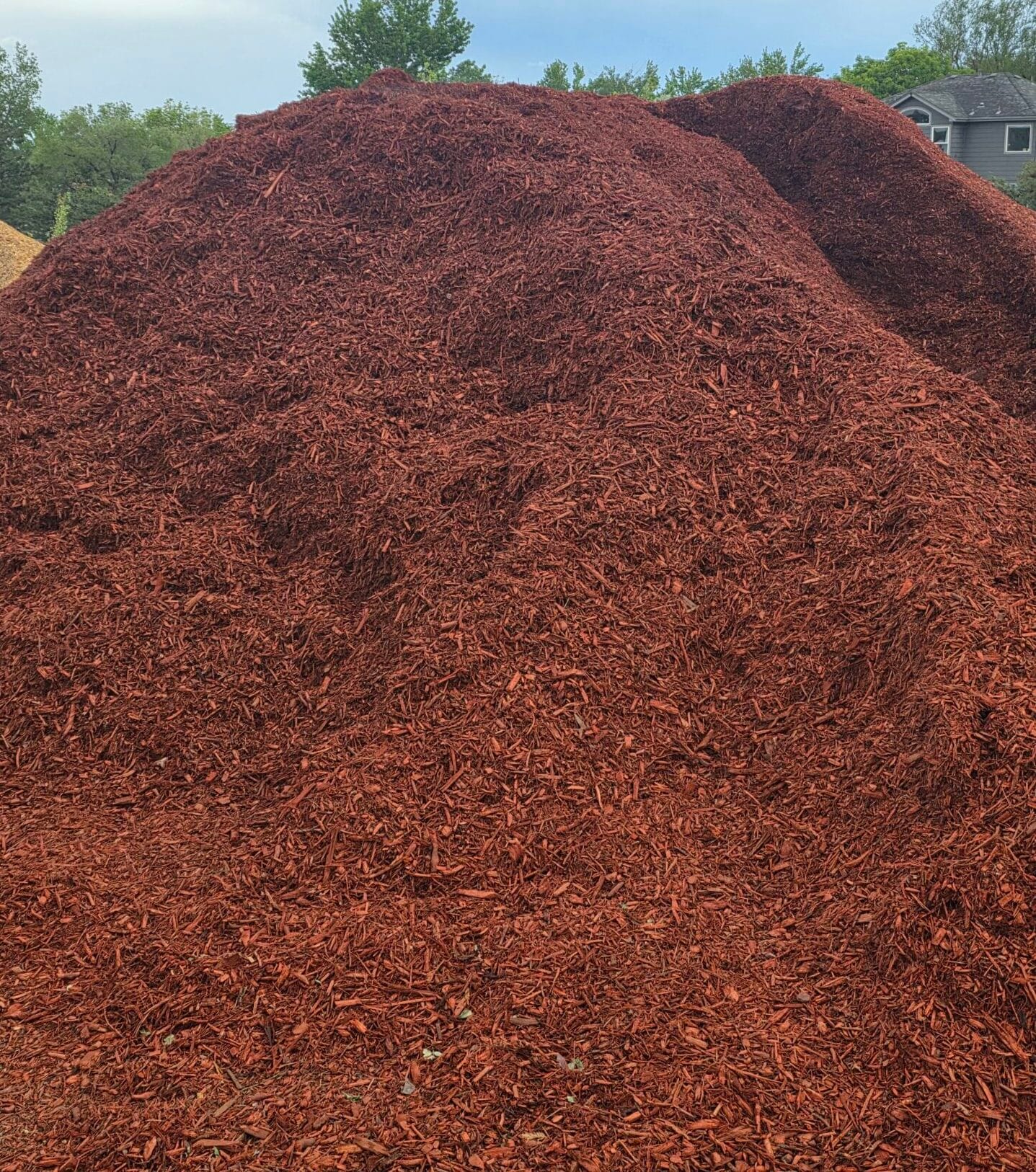 Dyed_Red_Mulch Dyed Red Mulch